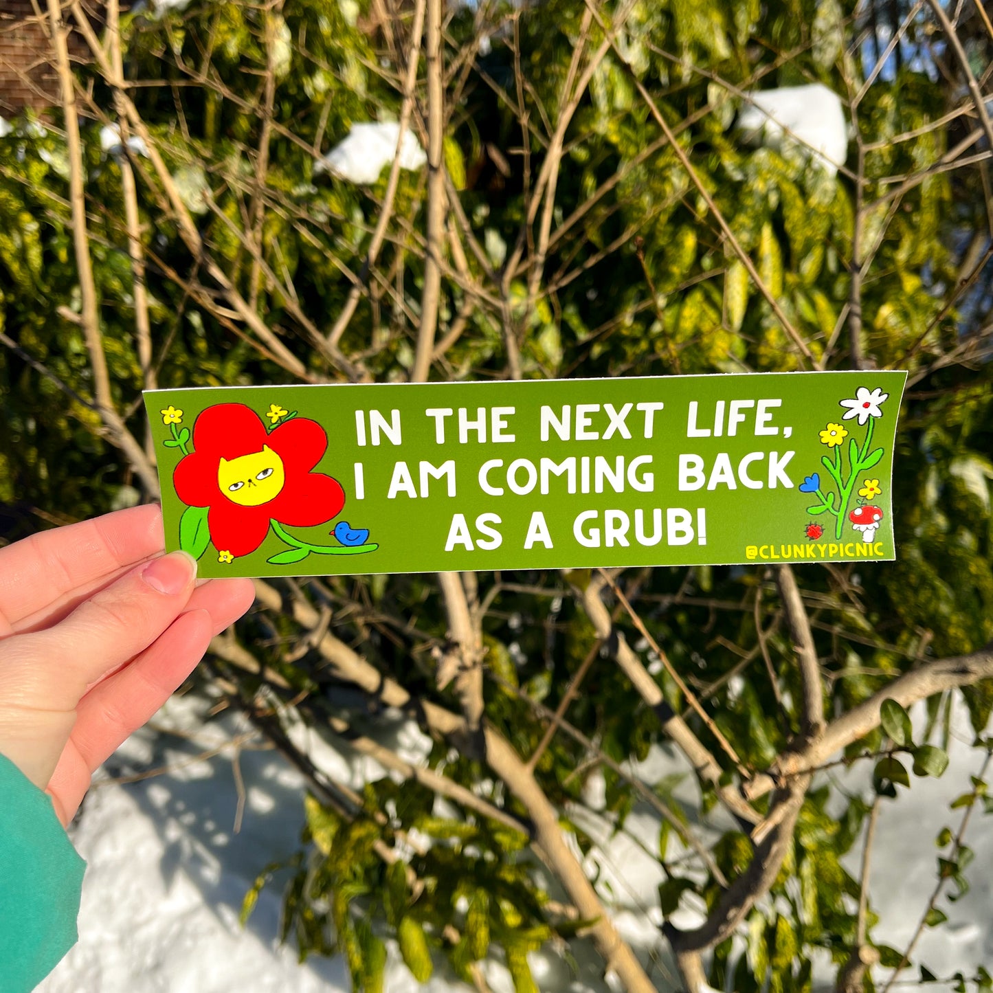 NEXT LIFE, I WILL GRUB! Bumper Sticker