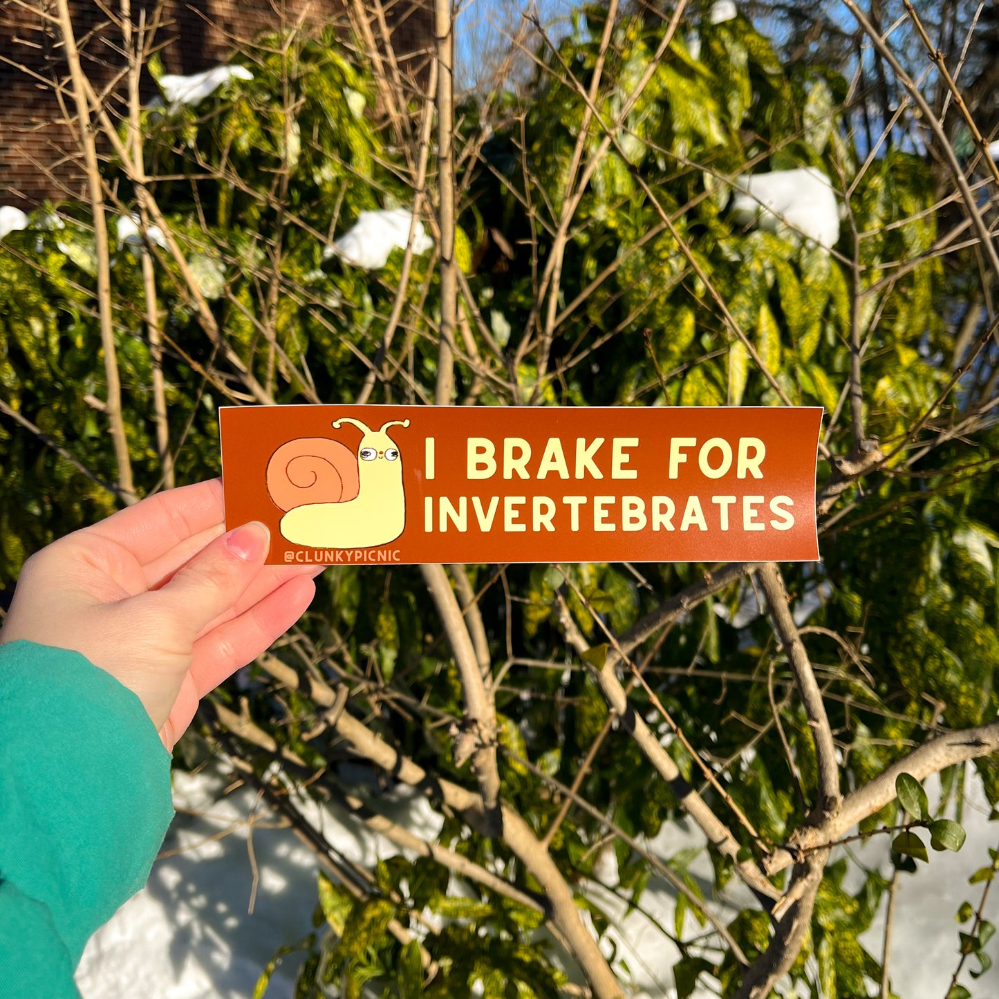 I BRAKE FOR INVERTEBRATES! Bumper Sticker