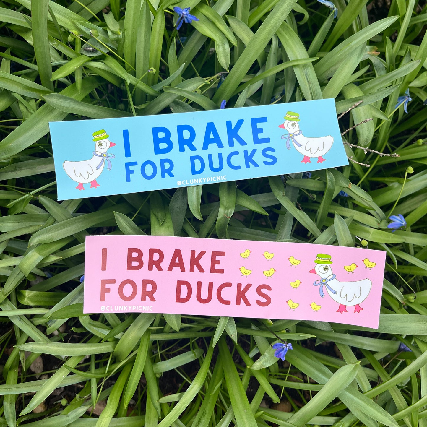 I BRAKE FOR DUCKS! Bumper Sticker