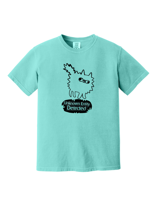 UNKNOWN ENTITY DETECTED - Made to Order Screen Printed T-Shirt