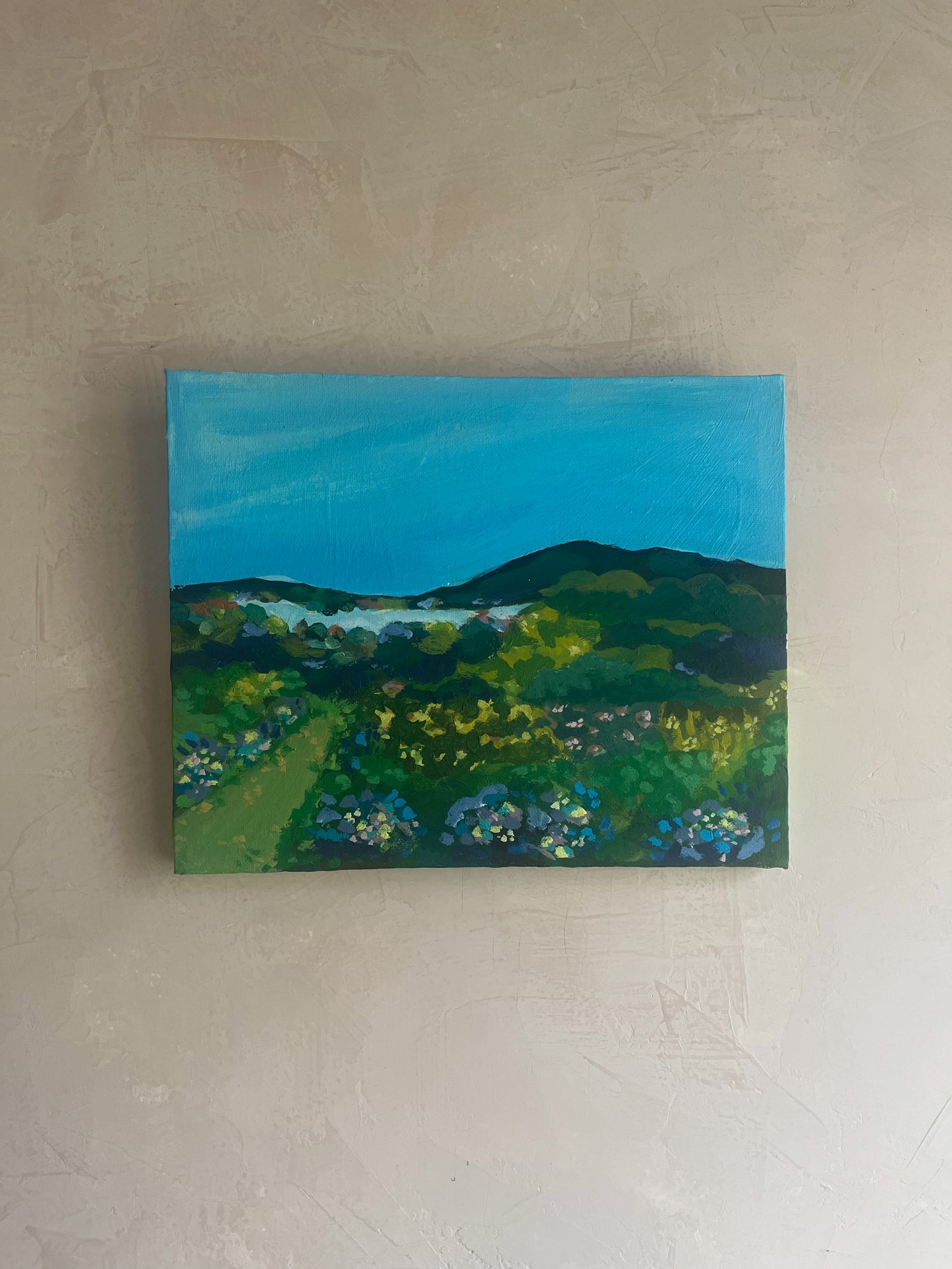 A View From Middle Creek - Original Painting