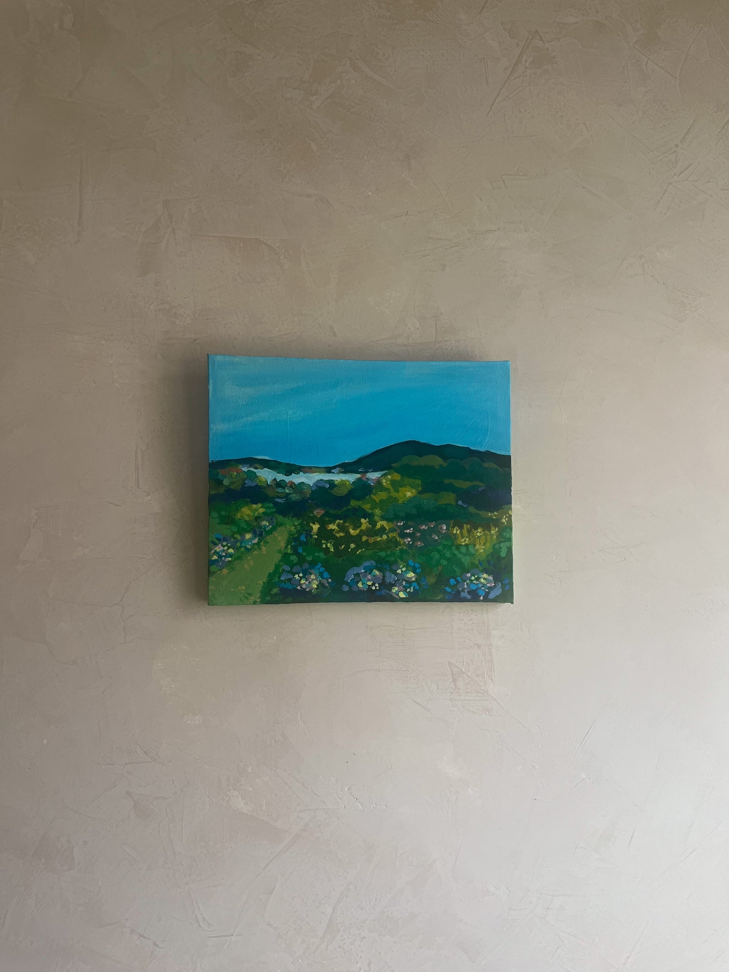 A View From Middle Creek - Original Painting