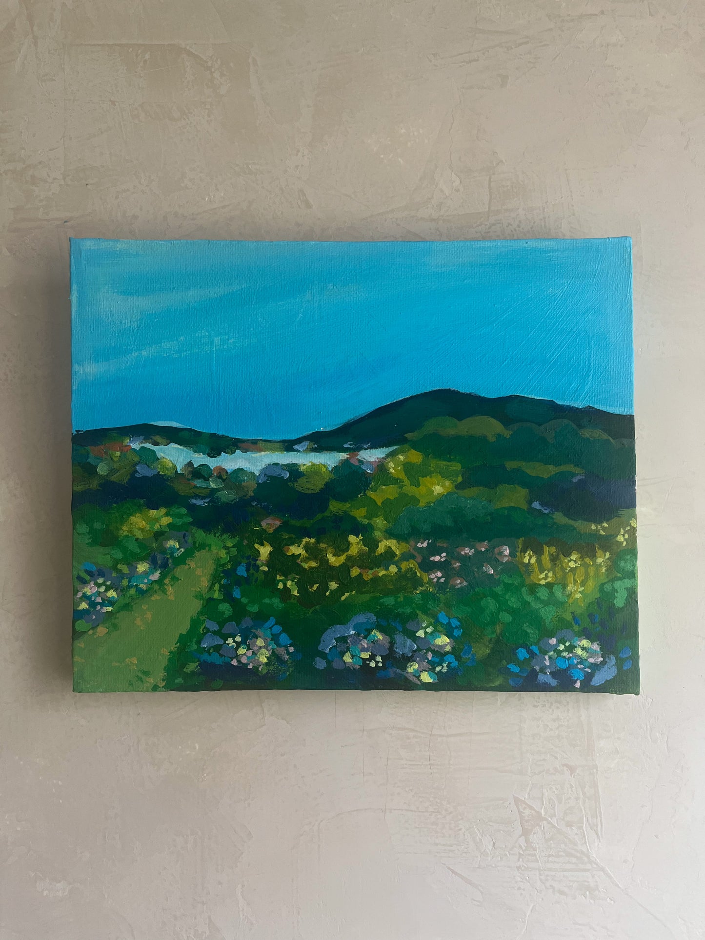 A View From Middle Creek - Original Painting